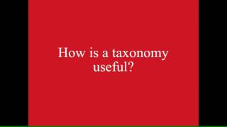 Taxonomy inside and outside of Drupal