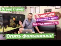 Как проверить полис Зеленая карта? Страховка для выезда за границу. Проблемы на границе