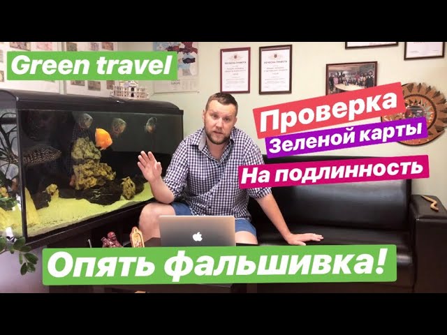 Стоимость страховки автомобиля грин-карта