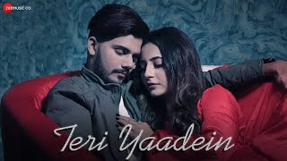 Teri Yaadein - Atif Aslam Remix