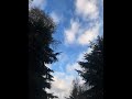 The Heart and Love for Nature and Ourselves