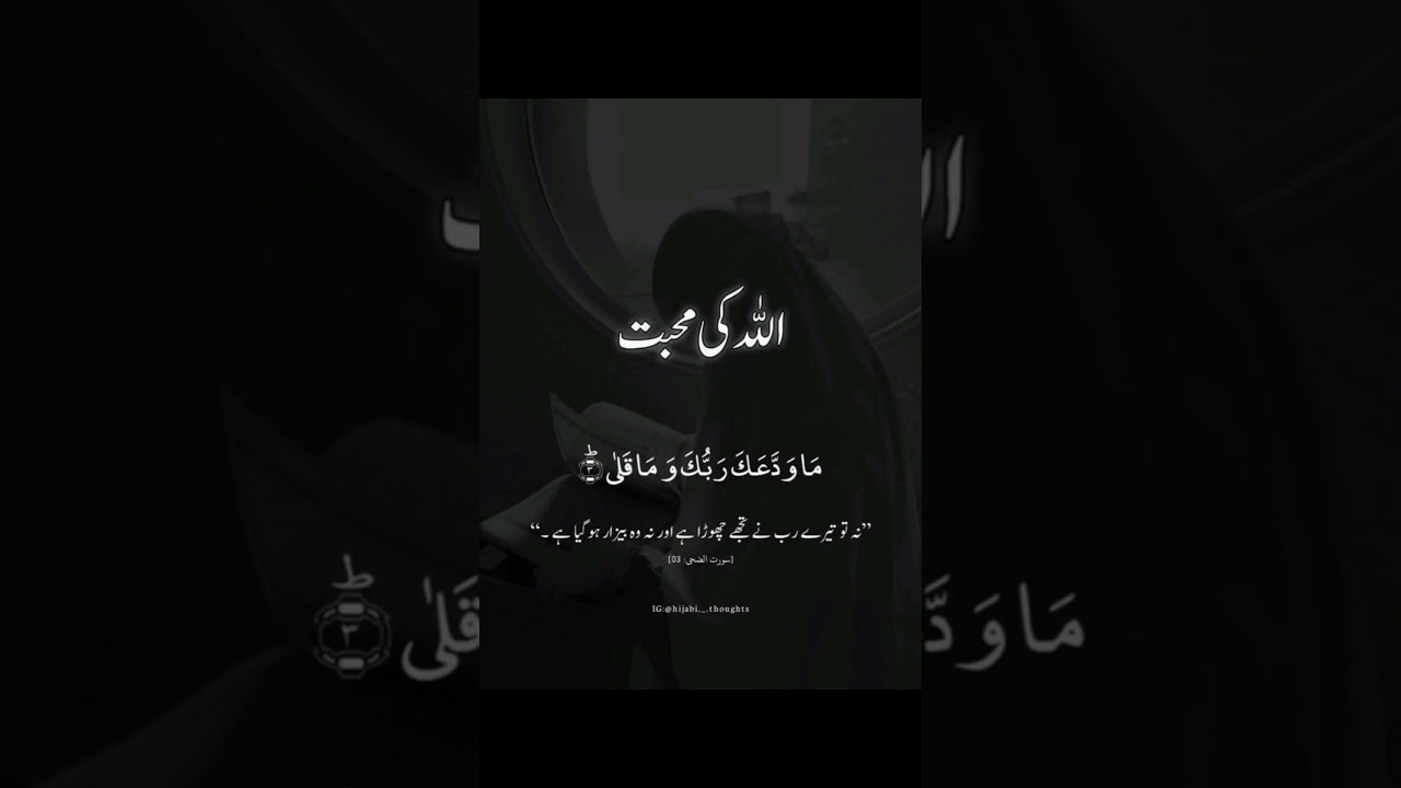 "Wisdom of Prophet Muhammad (PBUH) | Golden Rules for Life | Islamic 🥰✨