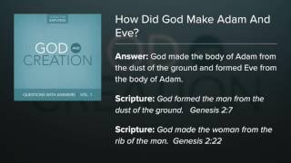 19. How Did God Make Adam And Eve? - Questions with Answers (Lyric Video) by Dana Dirksen