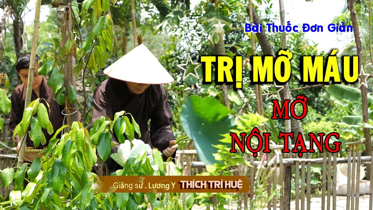 высок уровень жира в крови, он полностью исчез благодаря этим двум распространенным типам ЛИСТА: