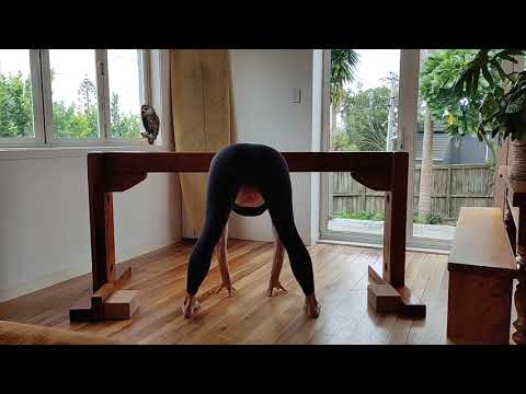 How to practice standing asanas on a Trestle (yoga horse).