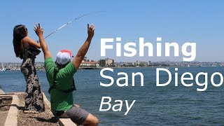 San Diego Bay Fishing From Shore  ' She beat me '