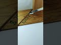 Precise way to Measure wood with a simple Tools #woodworking #woodwork #carpentry #diy #tips
