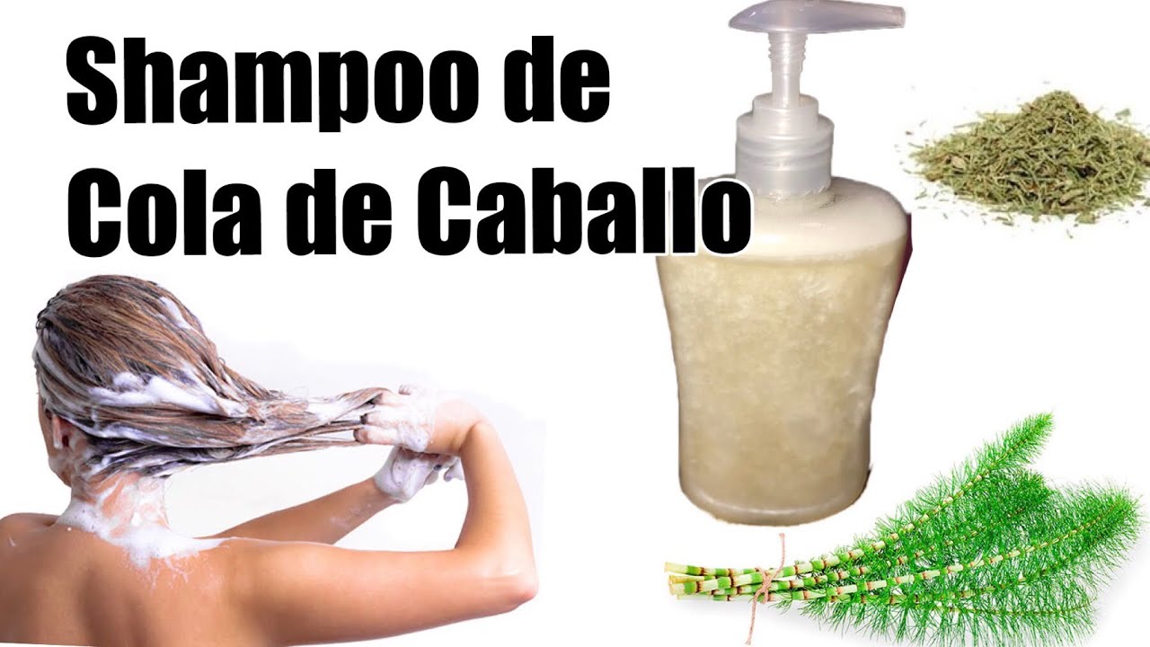 Shampoo Cola De Caballo Beauty Tips By Karla Youtube