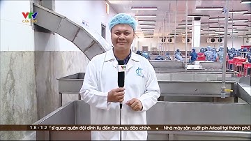 Phóng sự XUẤT KHẨU CÁ TRA KHỞI SẮC