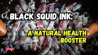 Black Squid Ink A Natural Health Booster