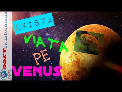 Video: Oamenii De știință Nu Exclud Viața Pe Venus - Vedere Alternativă