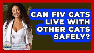 Can Fiv Cats Live With Other Cats Safely? - Ask A Pet Vet