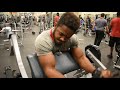 Bicep Excercise