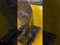11KW Shredder VS Metal Paint Buckets + Car Hood | V-EBK600 POWER TEST 💥