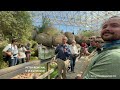 Endangered fish find new home at Biosphere 2