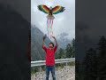 #Aaj #to #main #chil #wali #Patang #laya #hun #sab #ki #Patang #Kat #dunga..