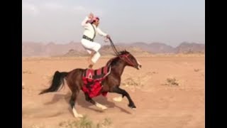 un vrai Chevalier se tient debout sur son cheval