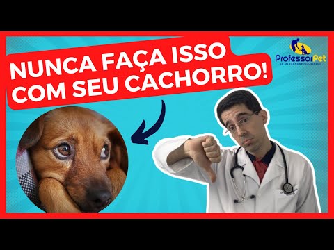 Vídeo: 14 coisas que toda pessoa que ama seu cão fez