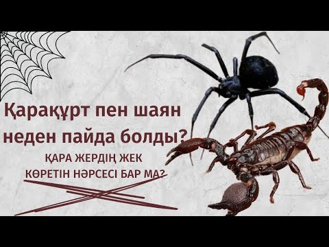 Бейне: Көкек түкірігін кетіру керек пе?