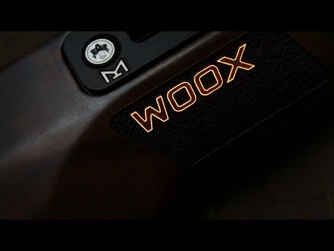 Ho montato un calcio da 300€ su un fucile da 200€? Maverick 88 + WOOX by caio77