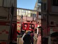 Kedi Kurtarma