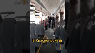 Новый трамвай#львёнок#Красноярск, трамвай, shorts, Приколы rush.