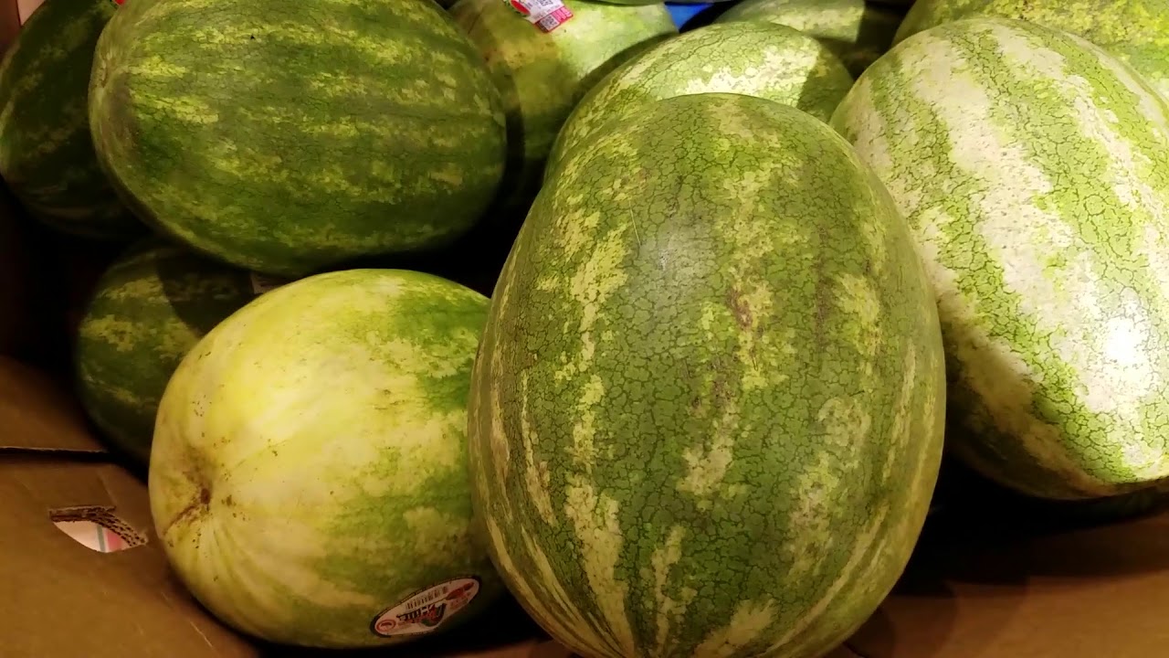 HOW TO PICK THE PERFECT WATERMELON - 5 STEPS - YouTube