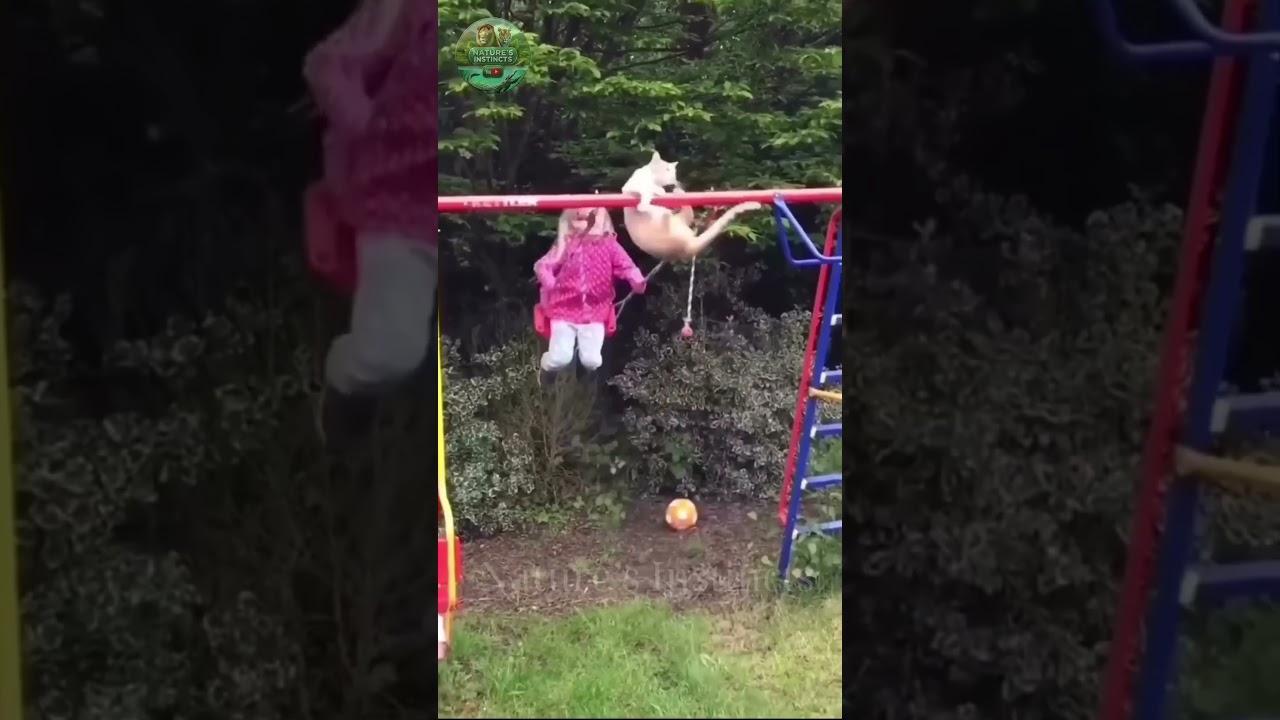 😲😂 The Most Unbelievable Pranks Caught on Camera