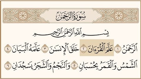 سورة الرحمن - الشيخ أبو النور الشامي