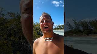 Why is it called egg island? Guess we'll never know 🥚🏝️