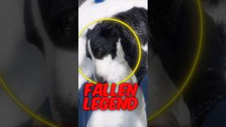 He Literally Saved The Baby