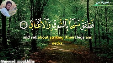 آيات من سورة ص || القارئ معاذ مخلص || صلاة المغرب 🎧🎧