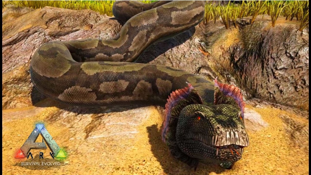 史上最大のヘビ ティタノボア を捕まえる Ark Survival Evolved ゆっくり実況 8 Youtube