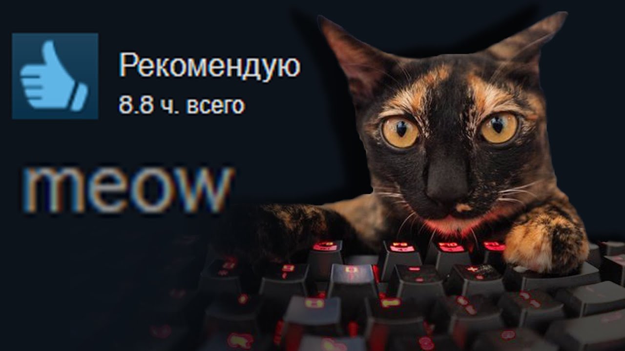 meowmeowmeowmeowmeow