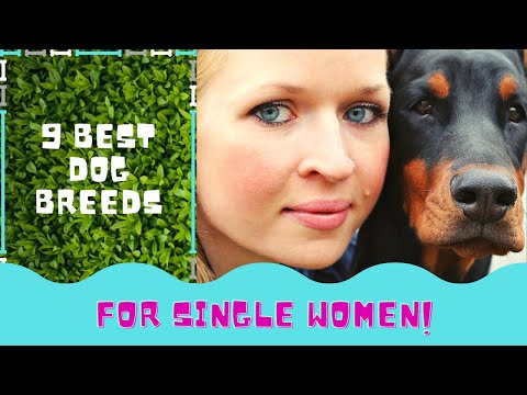 9 Best Dog Breeds for Single Women