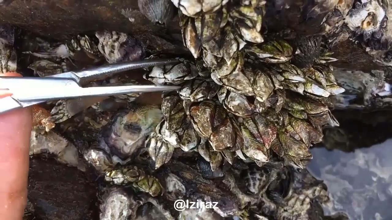 You Know What Is This Episode 847