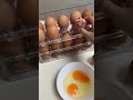 で柴子を養子にする 🔗 iconixstore.com/japan