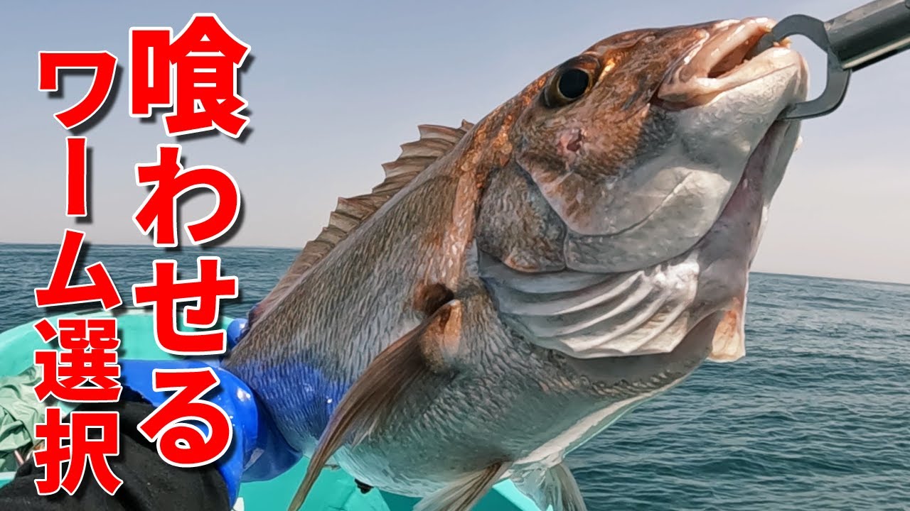 【タイラバ】その日1番の爆食タイラバワームを選ぶ為絶対する事