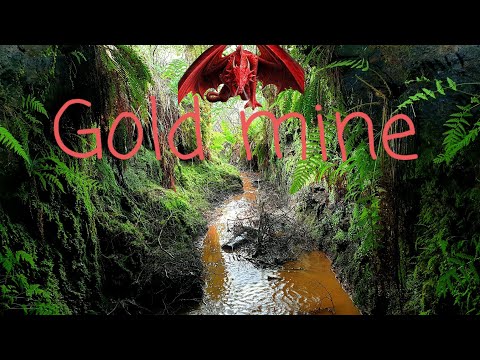 Gold mines of Meirionnydd ~ the ruinous one...