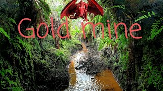 Gold mines of Meirionnydd ~ the ruinous one...