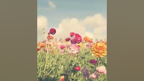 سورة النمل (عبدالله الموسى ) ألم يروا أنّا جعلنا الليل ليسكنوا فيه والنهار مبصرا