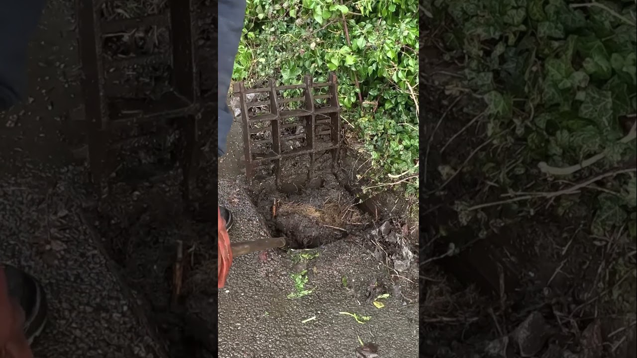 Worst gully for a long time full of roots 