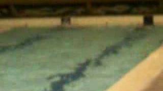 ancy's swim training breast free