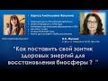 Как поставить свой зонтик здоровых энергий для восстановления биосферы - беседа с Ларисой Вакулиной