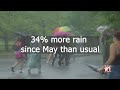 Why are leaves falling earlier than normal in Upstate NY?