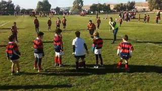 Bigo M8 Encuentro Infantil Madryn 072016