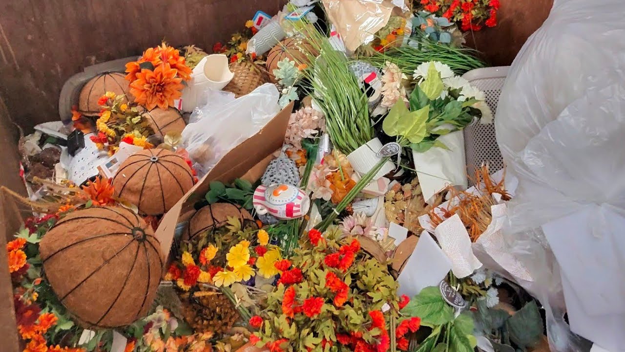 Ныряние в мусорном баке — ВАУ! Он сказал, что вызовет полицию.