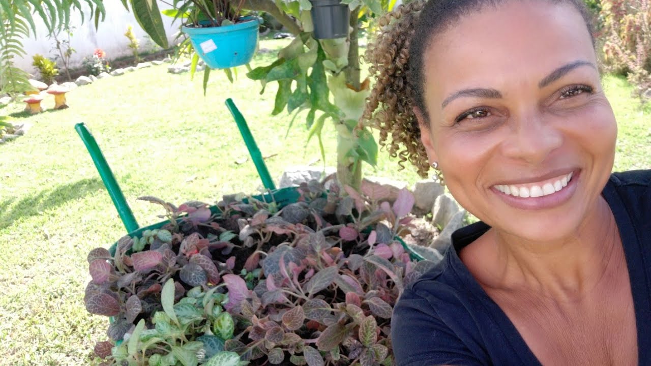 Transformei um Carrinho de Mão Velho em um lindo Vaso/ Reciclando😍