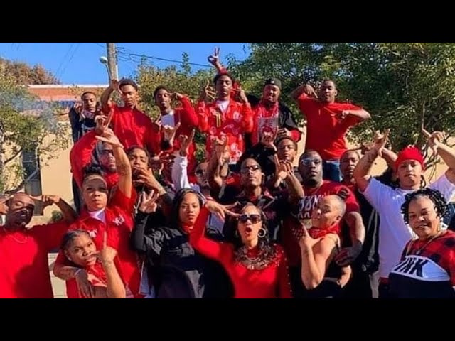 Denver Lane Bloods VS Hoover Criminals Inglewood Family Bloods & Crips