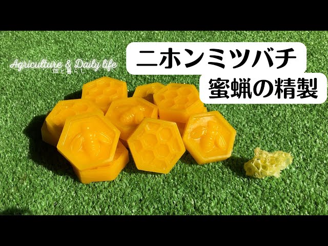 二ホンミツバチ養蜂】鍋を使用した蜜蝋の作り方・精製/Beeswax - YouTube